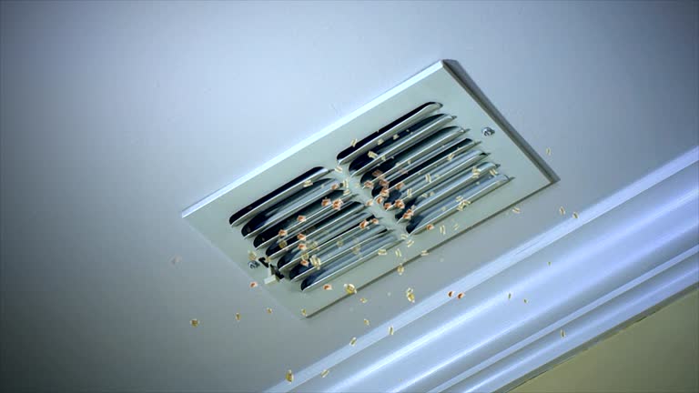 Best Residential Air Duct Cleaning  in Elyria, OH