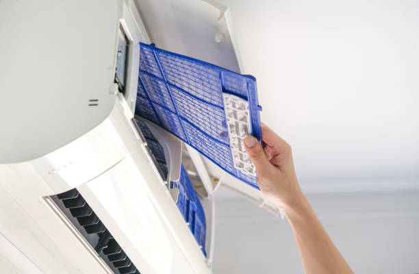Best Home Air Vent Cleaning  in Elyria, OH