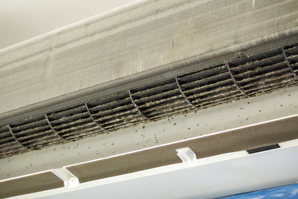 Best Affordable Duct Cleaning Services  in Elyria, OH