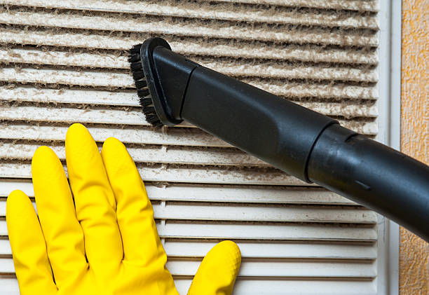 Best Local Air Duct Cleaning Services  in Elyria, OH